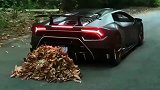 土豪把一堆树叶放在兰博基尼车后, 这一脚油门下去, 贼尴尬