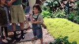 开满鲜花的院子，太招人喜欢了。