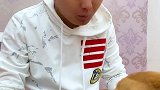 狗狗会一直原谅铲屎官吗