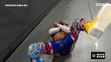 冠军争霸2019：WWE冠军赛 科菲VS兰迪