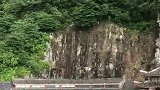 认为有道理的点赞