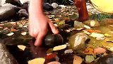 红辣椒煮福寿螺，那叫一个爽，表妹越吃越得劲