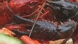 小龙虾看见自己同伴都红了，有点难以置信啊！