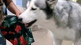 护鱼狂魔来了