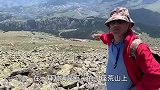皮包骨头的马获救后连喝三桶水，对救助人由抗拒到信任