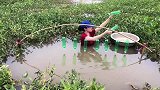 靓妹在老塘中用牛肉和空瓶子制作捕鱼系统，结果捕获的全是大肥鱼