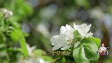 这道带着季节气息的养生汤，鲜香醇厚，营养健康，比酒楼煲的还香