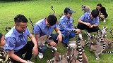 颜骏凌的假期第一天 与队友一同前往野生动物园做公益