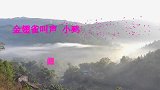 金翅雀叫声，小鹀叫声，一对白头翁叫声