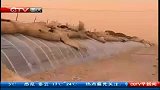 ctv早新闻-20120415-沙尘暴主要发源地内蒙古.近年沙尘天气呈上升趋势
