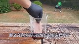 实验用的硫酸与烧碱到底有多可怕老外把肉片放进去，结果太惊艳