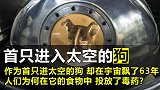 第一只进入太空的狗，在宇宙飘了63年，人类却为何要毒死它