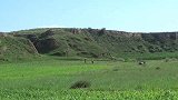 夫妻受苦回家，老卷西瓜当饭，攒足精神准备晚餐，为了家累并快乐