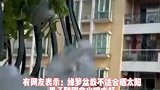 男子发现邻居外出旅游盆栽无人照顾