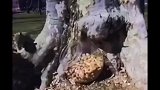 不知道的还以为是滚筒洗衣机呢