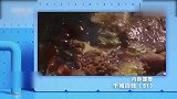 红烧小白条入味出锅，原汁原味，辛苦一天的渔民们最大的幸福！