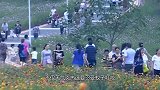 老人小区里种猫薄荷 结果早晨起来开门一看傻眼了