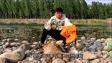 小伙河边抓水蛭不慎跌进了水中，金毛却在岸上幸灾乐祸，真是气人