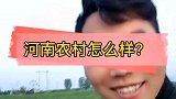 你们看河南农村怎么样？