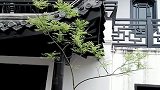 燕子楼，因飞檐挑角形如飞燕而得名。