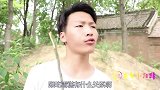 短剧：爬蚱皮1：甜甜和来福去找爬炸皮，你知道爬炸皮能干什么吗