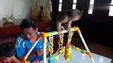 主人给小猴子买了玩具，却引起了小主人的兴趣：我先玩一会