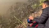 男子遇鱼群挑衅