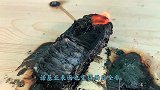 iPhone11的性能好不好？土豪用岩浆测试，下一秒太硬核了
