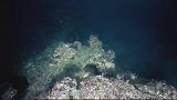海底出现神秘现象，“咕噜声”不断，还冒出200多米的巨大气泡