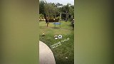 足球还能这么玩！乌索与友人玩起桌上足球