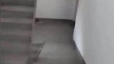 这是哪位大神的杰作，下个楼梯玩迷宫