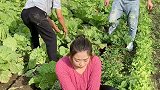 套路一下老爸，我看还是快跑吧,