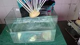 土豆插吸管就能在水中漂浮？