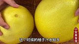 买柚子，一定要买“母”的，教你4个小技巧，一挑一个准，真实用