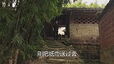 四娃上山去寻宝，农村遍地都是很好找，勇闯带路满山跑