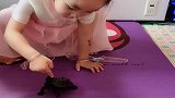 5岁女儿养的小乌龟，真是太听话了，眼前一幕，小情人好萌啊！