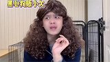 新手养狗避坑指南
