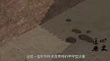 农田发现罕见大墓，盗洞精准的让专家赞叹，墓室主人却是一朝太子