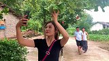四川方言：两兄弟碰到美女，相互吹牛，结果老表怂了！