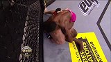 UFC-14年-UFC179自由格斗：戴维斯vs古斯塔夫森-专题