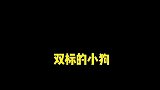 双标的小狗之喂饭篇