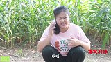 短剧：村妹去“火葬场”，结果半路碰见一车鬼，吓得村妹直冒冷汗