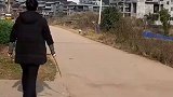 猝不及防的瞬间哈哈