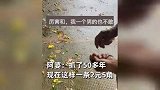 83岁阿婆硬核抓蜈蚣，淡定徒手拔毒牙吓坏网友,一条2元5角