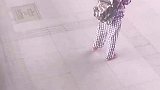 一名正在等车的女乘客疾病发作，摔倒后昏迷不醒
