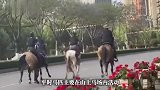 昆明街头4人并排“策马奔腾”，涉事马术俱乐部称“只是路过”，交警回应