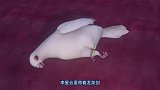 放出消息 让该知道的人都知道 龙泉宝藏就在梁山 藏于乾陵