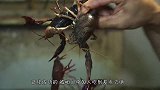 小哥购买5000只小龙虾倒进浴缸，作死体验“与虾共浴”！