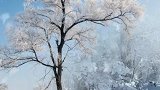 雪花飘飘，寒风啸啸