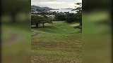 猜到了开头没闹懂结局 人生的大起大落恐怕就是如此吧